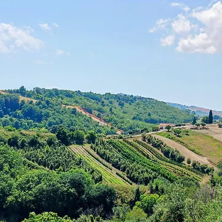 Mirador - Con Vista Panoramica